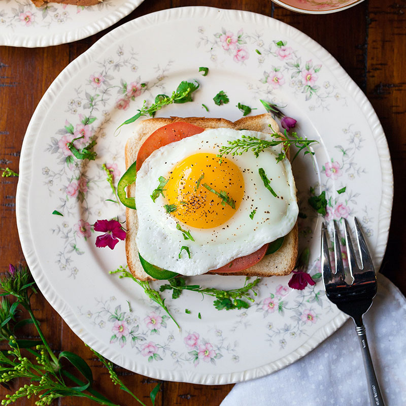 Egg and Bread Egg and Bread